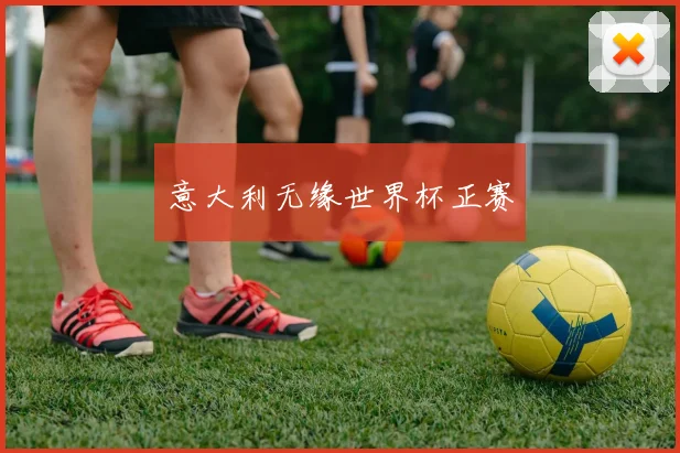 意大利无缘世界杯正赛