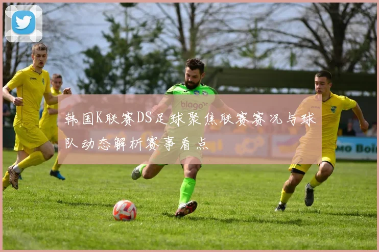 韩国K联赛DS足球聚焦联赛赛况与球队动态解析赛事看点