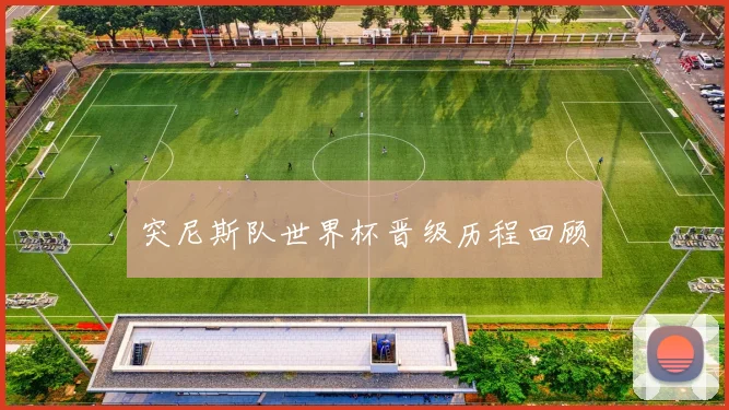 突尼斯队世界杯晋级历程回顾