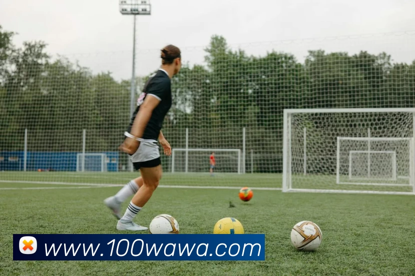 Z6·尊龙凯时「中国」官方网站服务体系